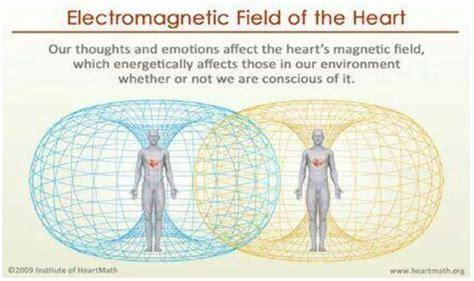 electromagnetic field effects on the heart